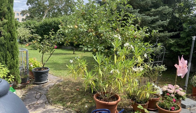 Apartment 'Ferienwohnung 1 36m2' with Shared Garden, Balcony and Wi-Fi