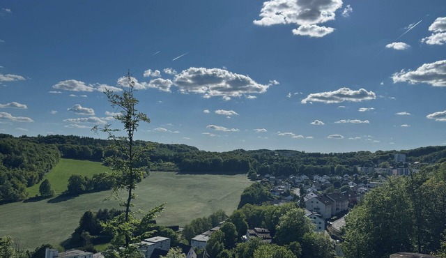 Apartment Flick
