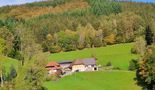 Apartment 'Hof' with Mountain View, Private Terrace and Wi-Fi