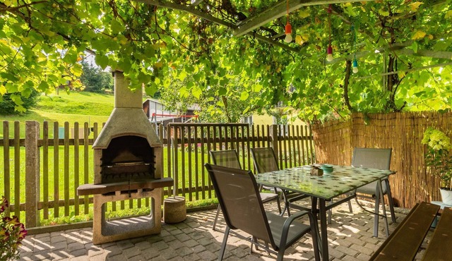 Apartment in Saxon with terrace