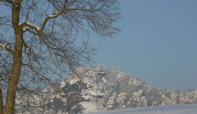 Apartment in the Saxon Switzerland region