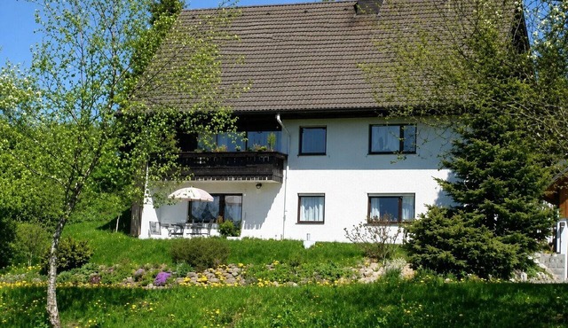 Apartment 'Janßen-Wehrle' with Mountain View, Private Terrace and Wi-Fi