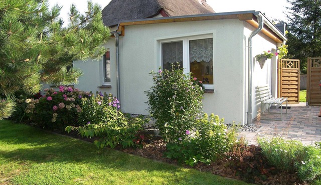 Apartment Krummin in a quiet location with terrace - vacation apartment on the ground floor