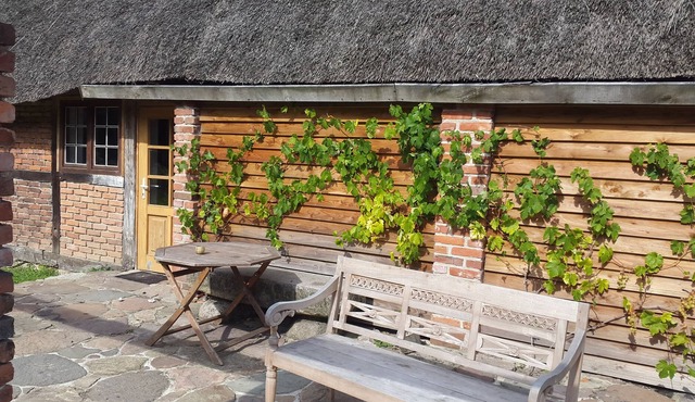 Apartment on the Baltic Sea in the beautiful Leonora forest