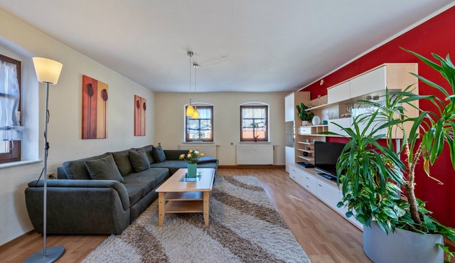 Apartment 'Pillnitzer Schlossblick' with Wi-Fi and Air Conditioning
