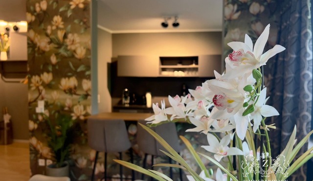 Apartment Prinz Leopold Designer Wohnung Zentral Disney+