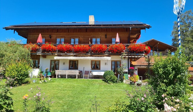 Apartment 'Schwalbennest' with Mountain View, Balcony, and Wi-Fi