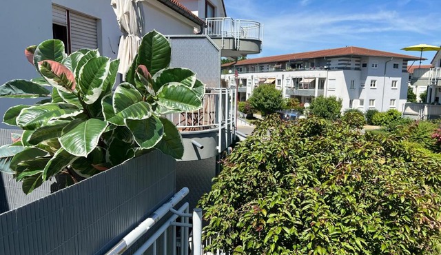 Apartment Studio Green line