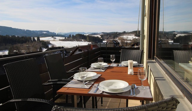 App. in Haus Feldbergblick with pool, sauna and fitness in Lenzkirch