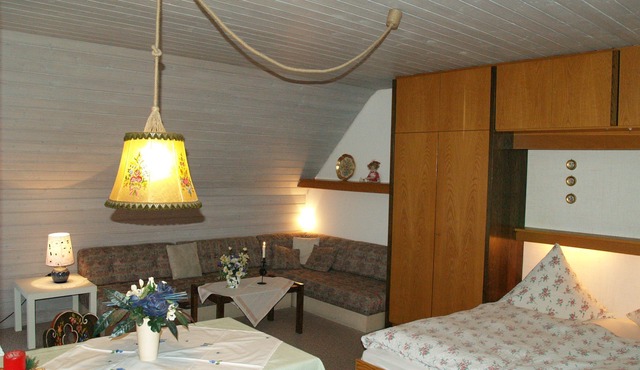 Appartement 1 mit Dusche/WC, Kochnische und Balkon