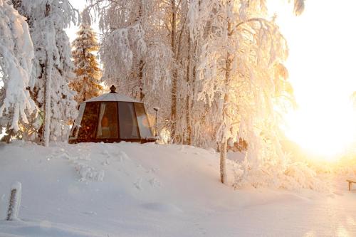 AuroraHut at Sauna Retreat