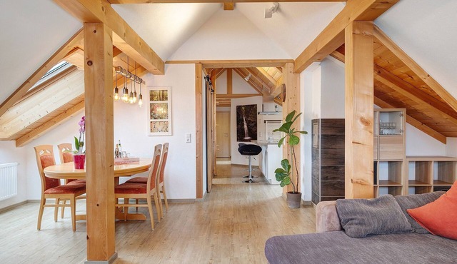 Bühlhof Waldau Apartment Sternschnuppe, HTG-Card, Balcony, Play Barn, Ski Lift, Barbecue