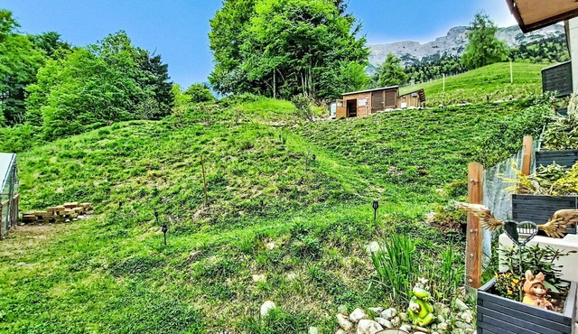 Beautiful apartment for 5 guests with WIFI, TV, terrace and pets allowed