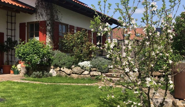 Beautiful apartment with terrace and alpine view for 2-4 persons.
