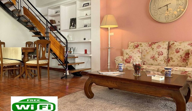 Beautiful downtown duplex with a 25 m² terrace
