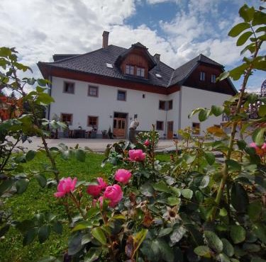 Biohof Köck Tonibauer