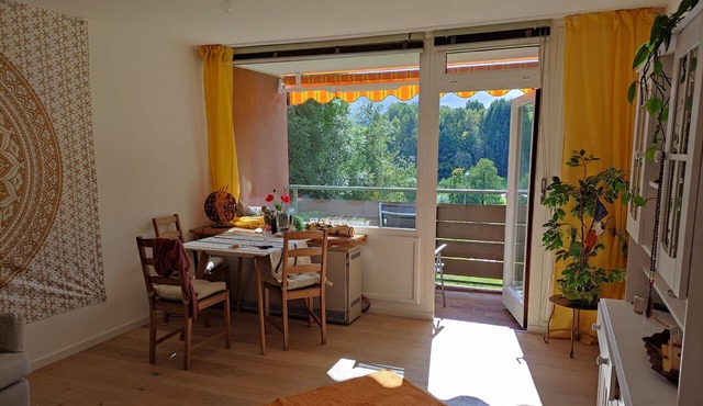 Black Forest Apartment with Balcony, Pool, and Sauna