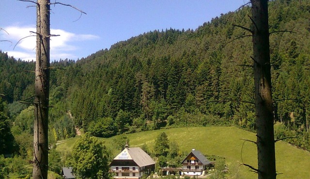 Bright Room with Green Views, Balcony, and Pets on Request