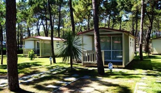 Camping - Piscine - eeec0c