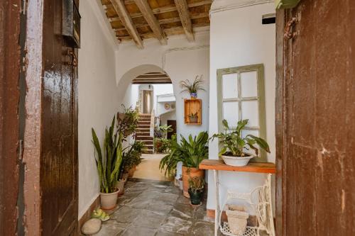 Casa Bodega Triana