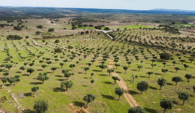 Casa da Meada - Herdade Santo Isidro | Santo Isidro 2 | Alentejo