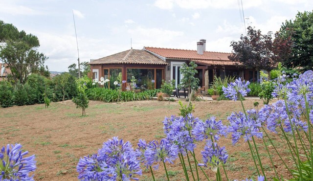 Casa de Campo d'Olívia Lovely Homes — Rural Tranquility in Portugal's Heartland