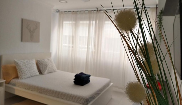 Central Estudio Torremolinos - Estudio 3