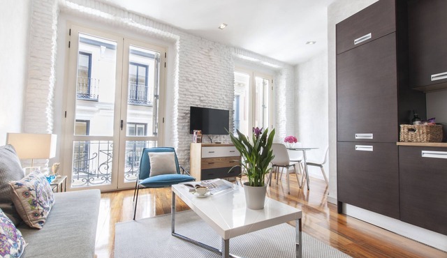 Central Madrid. Barrio Letras, Walking distance to Museums, Plazas and GranVia
