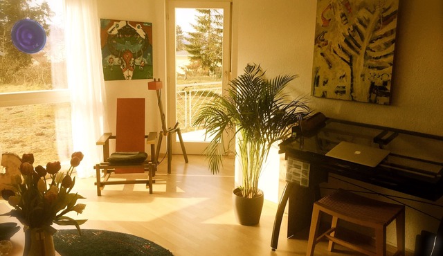 Charming 4 star apartment for creative people - border crossing CH - Therme Zurzach