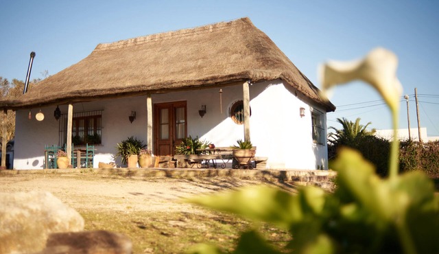 Charming country house in ARBOLADA and quiet area