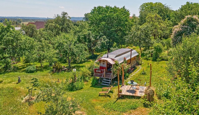 Circus Wagon in Ostrach – Unique Caravan in the Orchard