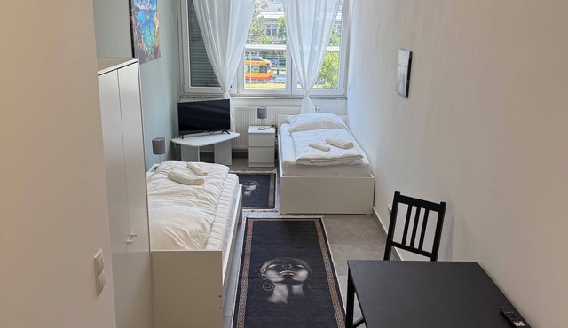 City apartment no. 1 with comfort