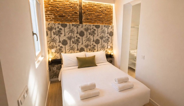 Collection La Latina - Modern studio in La Latina neighbourhood