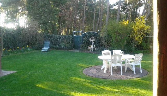 Comfortable apartment in Emsland, near holiday center lock Dankern