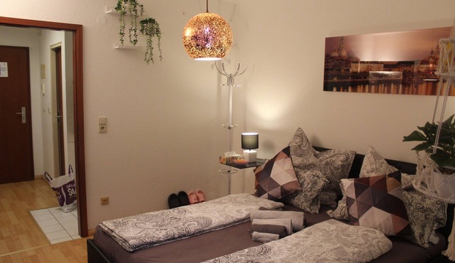 Comfortable Private Apartment on Elbe River