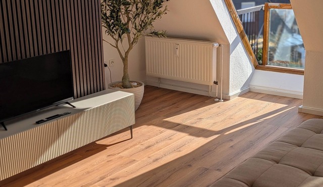 Completely renovated design apartment close to the city