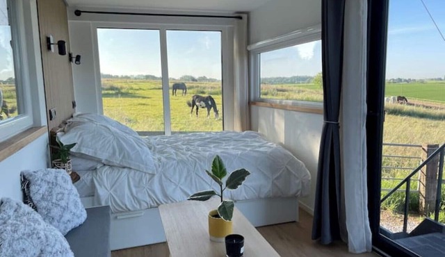 Container-tinyhouse Direkt Neben der Pferdekoppel