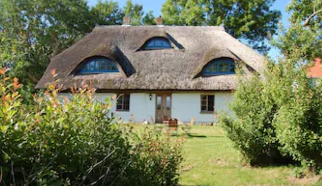 Country idyll in a rustic thatched house in the countryside for up to 8 people, Halbecks-Hof