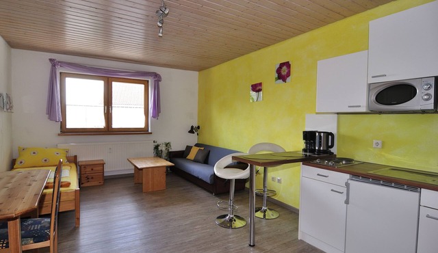 Cozy 1-room apartment (not bookable until further notice!)