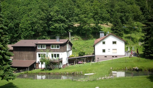 Cozy Apartment in Bruchhausen with Terrace