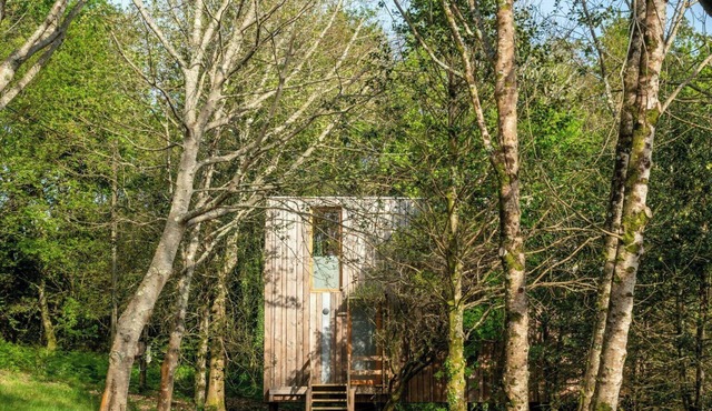 Cozy cabin with a private pool in Galicia
