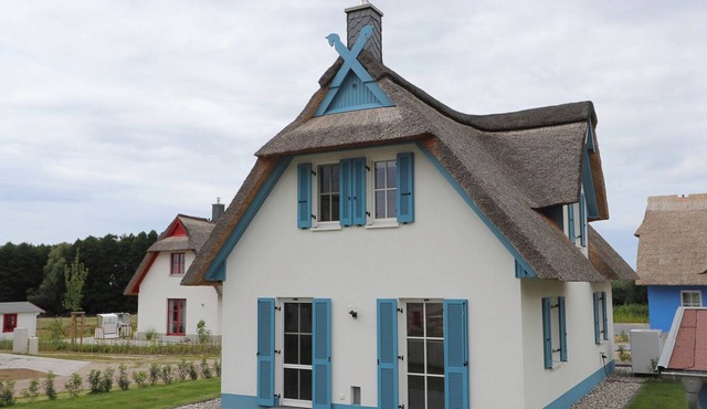 Das Reetgedeckte Ferienhaus Seeschwalbe mit Blick auf die Historische Windmühle in Stove, ist ein Traumhaftes Urlaubsdomizil