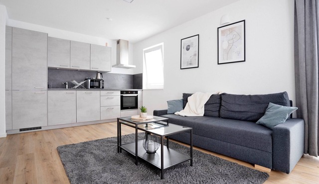 Deluxe apartment in the centre of OS
