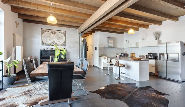 Deluxe Loft Hegau-Bodensee