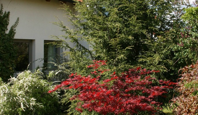 Detached, comfortably furnished holiday home with a wonderful garden