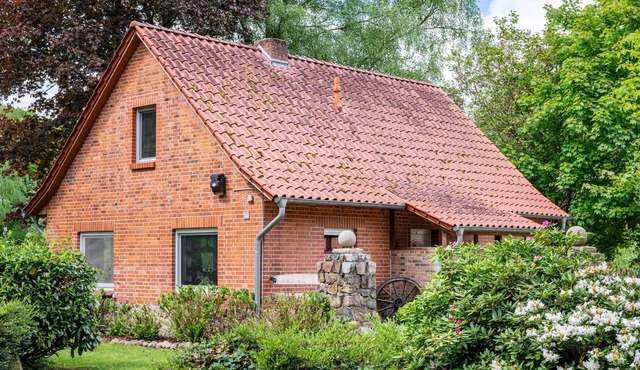 Detached holiday home in a dream location with large terrace surrounded by nature