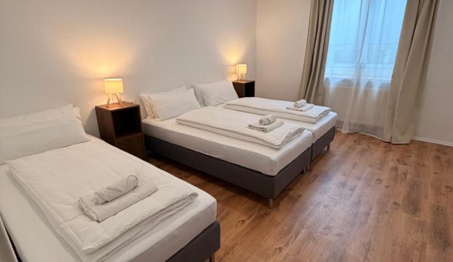 DLG STAYS I Panorama 120