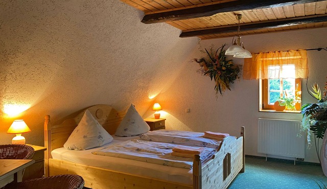 Double room for 4 guests with 33m² in Stolpen (295121)