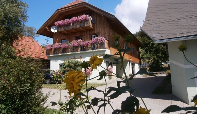 Double room with shower, WC - Reitbauernhof Ferner