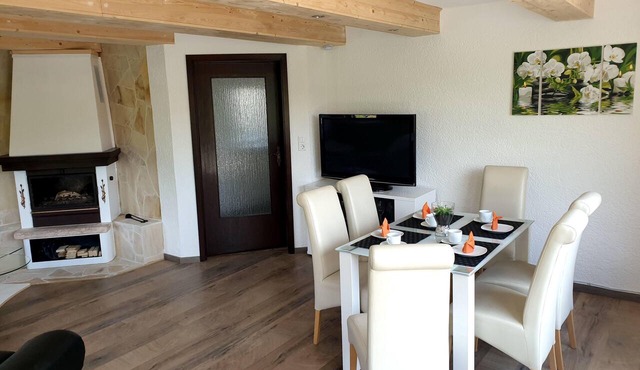 Elbblick große Loftwohnung mit Terasse Sauna und Kamin